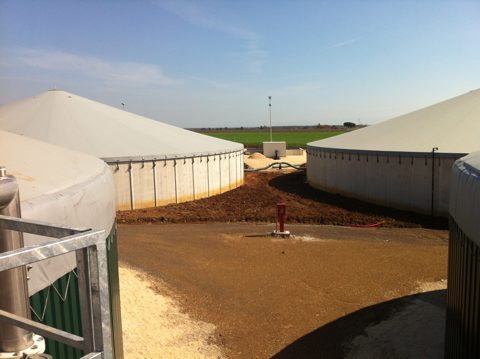 AZIENDA AGRARIA DI MASCETTI SBARDELLA