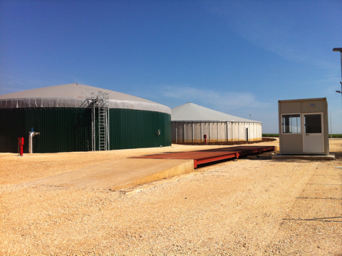 AZIENDA AGRARIA DI MASCETTI SBARDELLA